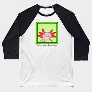 Ambystoma Mexicanum (Axolotl) Baseball T-Shirt